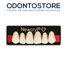 dientes_newcryl_anteriores