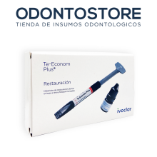 te_econom_plus