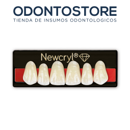 dientes_newcryl_anteriores